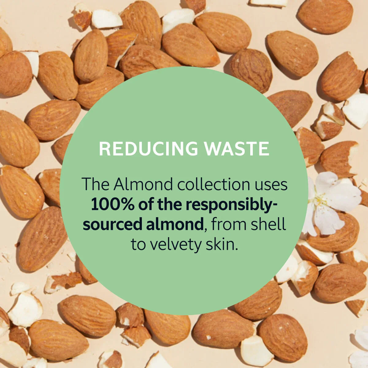 L'OCCITANE - Almond Supple Skin Oil