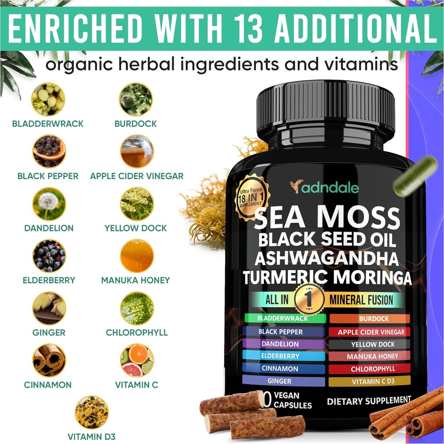 Adndale - Sea Moss Black Seed Oil Ashwagandha Ginger Capsules 18-in-1